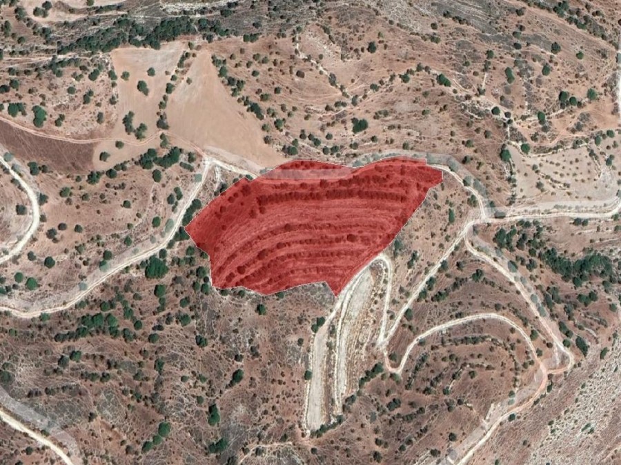 Field - Nata, Paphos