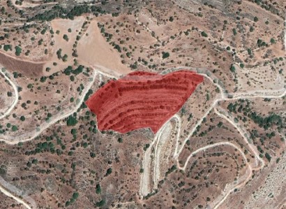 Nata, Paphos Agricultural Field For Sale | WW26143