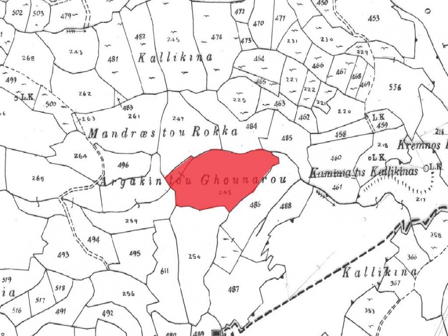 Field - Nata, Paphos