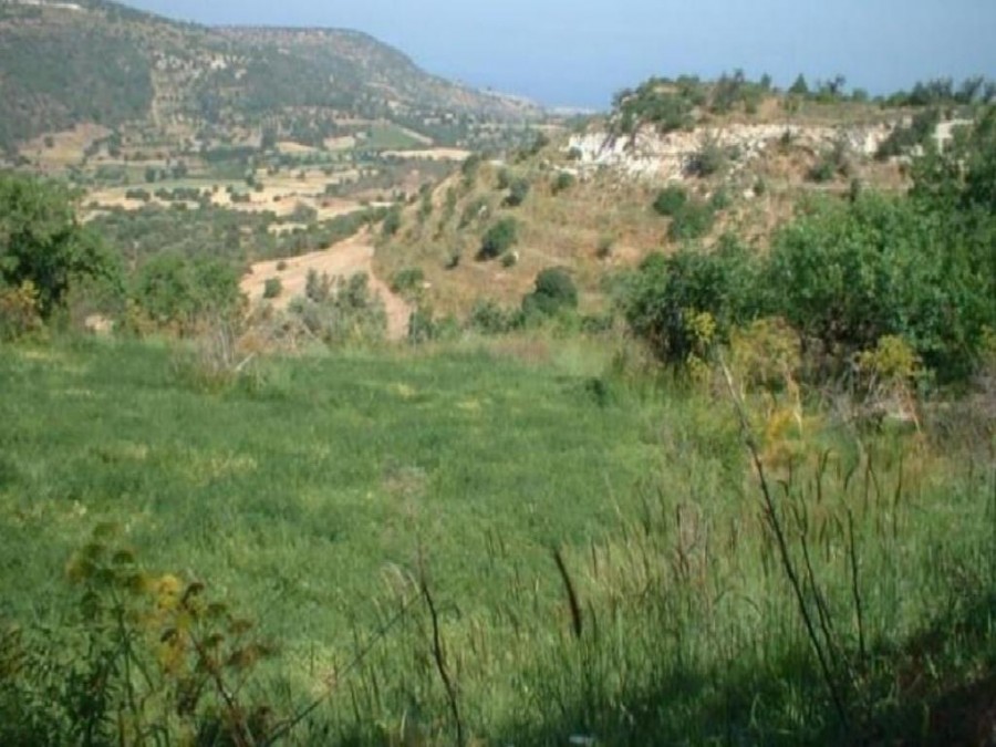 Lysos, Paphos Agricultural Field For Sale | WW26147