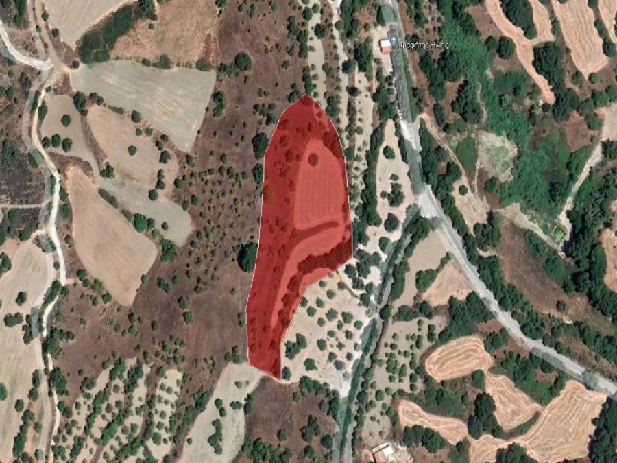 Field - Lysos, Paphos
