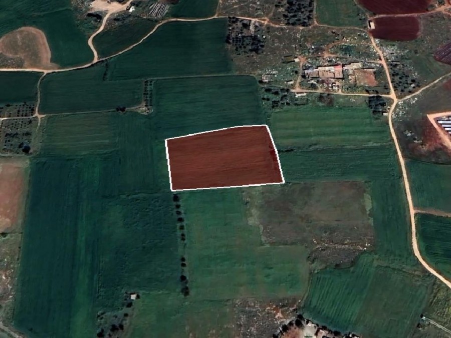Field - Avgorou, Famagusta