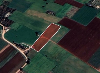 Avgorou, Famagusta Agricultural Field For Sale | WW26237