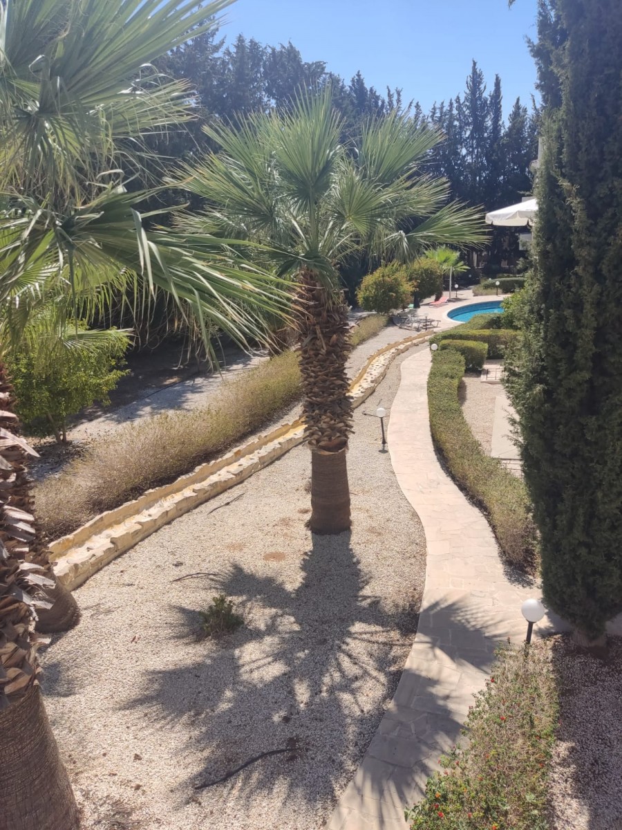 Apartment For Rent  in  Kato Paphos - Universal