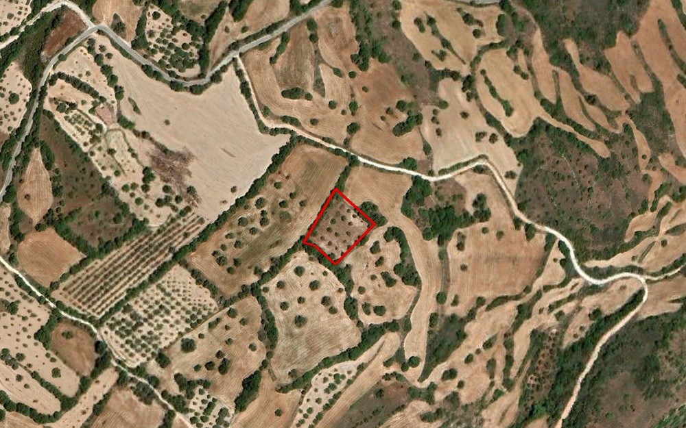 Kritou Tera, Paphos Agricultural Field For Sale | WW27606