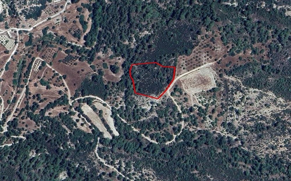 Archimandrita, Paphos Agricultural Field For Sale | WW27607