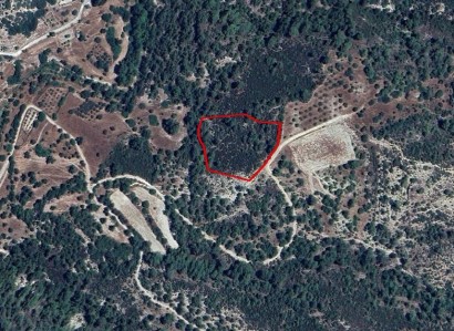 Archimandrita, Paphos Agricultural Field For Sale | WW27607