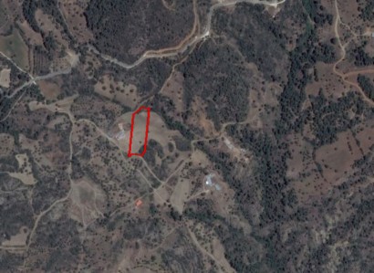 Lysos, Paphos Agricultural Field For Sale | WW27609