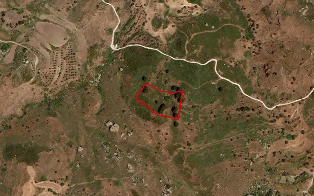 Drouseia, Paphos Agricultural Field For Sale | WW27610