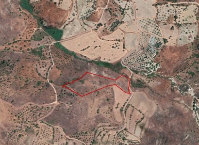 Episkopi, Paphos Agricultural Field For Sale | WW27611