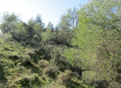 Psevdas, Larnaca Agricultural Field For Sale | WW27645