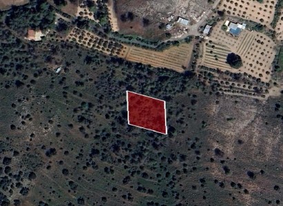 Psevdas, Larnaca Agricultural Field For Sale | WW27645