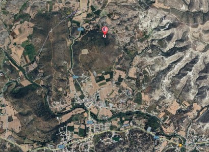 Psevdas, Larnaca Agricultural Field For Sale | WW27645