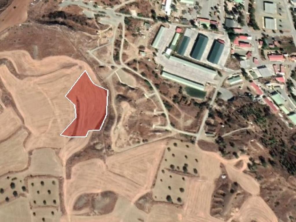 Field - Tseri, nicosia