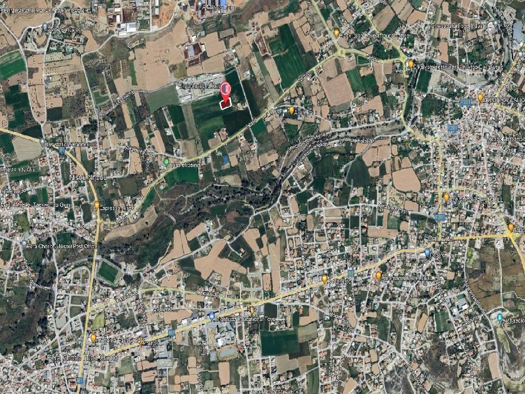 Field - Dali, Nicosia