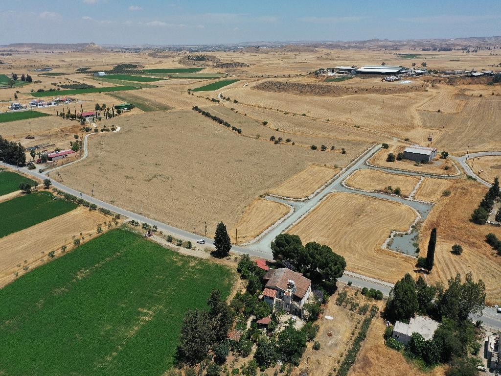 Field - Potamia, Nicosia