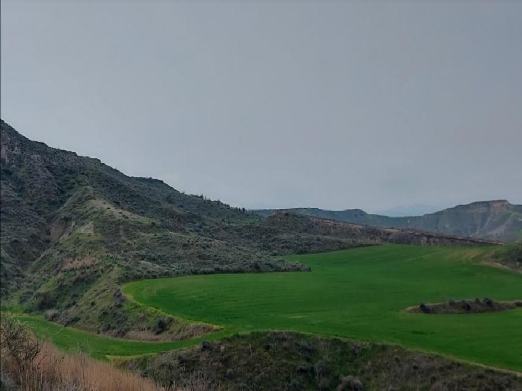 Pera Chorio, Nicosia Agricultural Field For Sale | WW27662