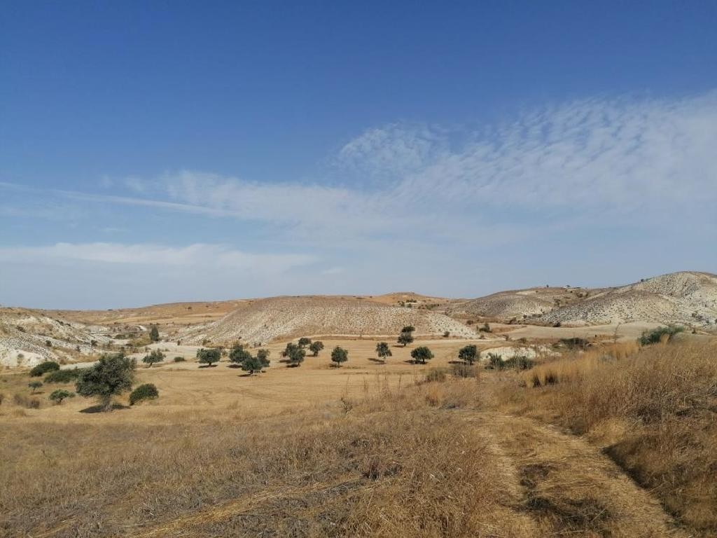 Analiontas, Nicosia Agricultural Field For Sale | WW27676