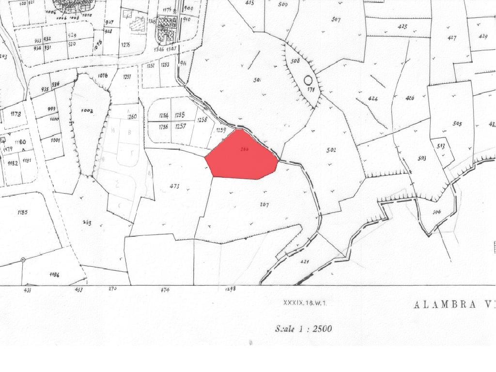 Field - Pera Chorio, Nicosia