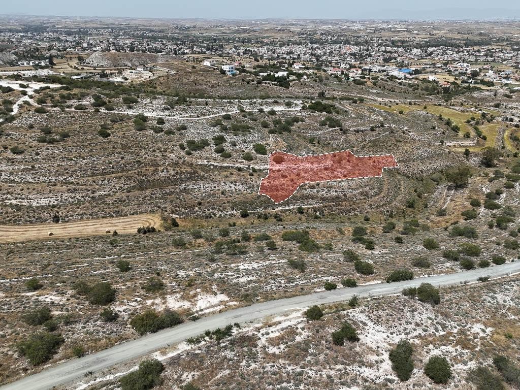 Field - Lympia, Nicosia