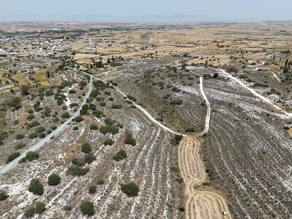 Field - Lympia, Nicosia