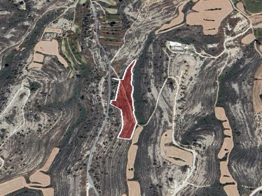 Field - Lympia, Nicosia