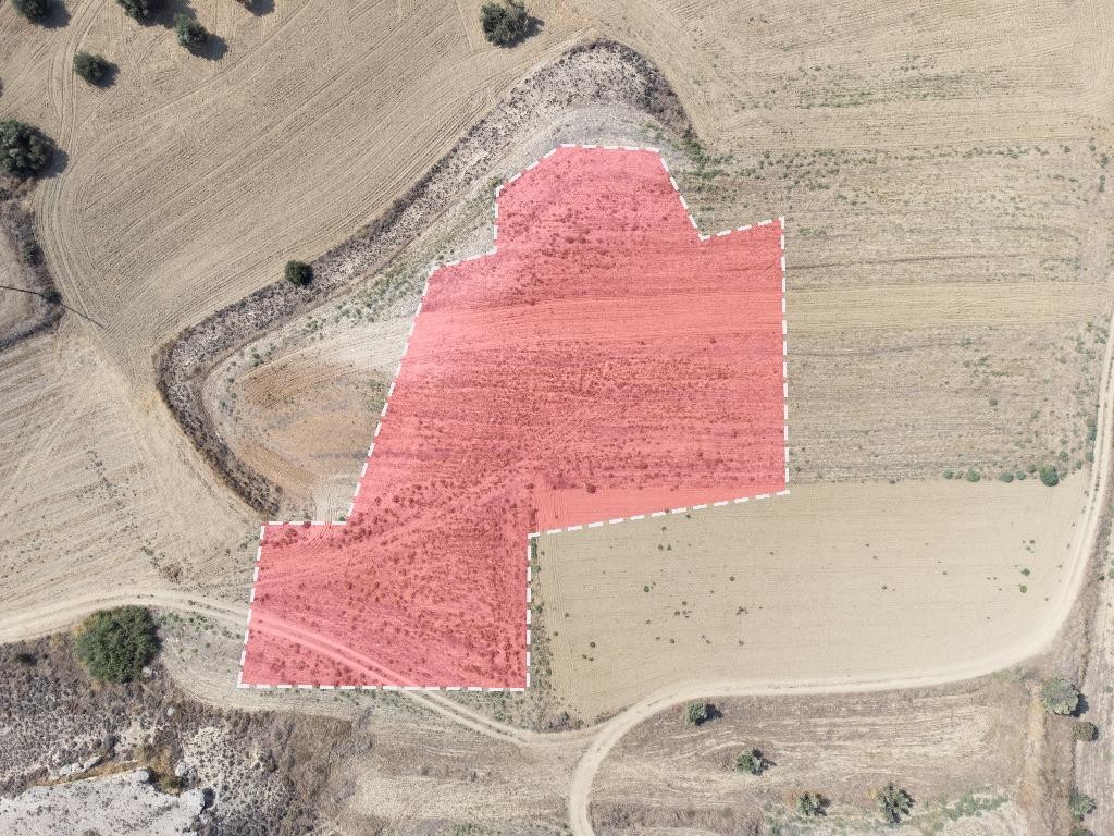 Field - Ergates, Nicosia