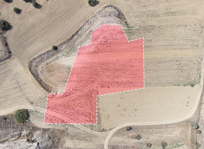 Ergates, Nicosia Residential Field For Sale | WW27693