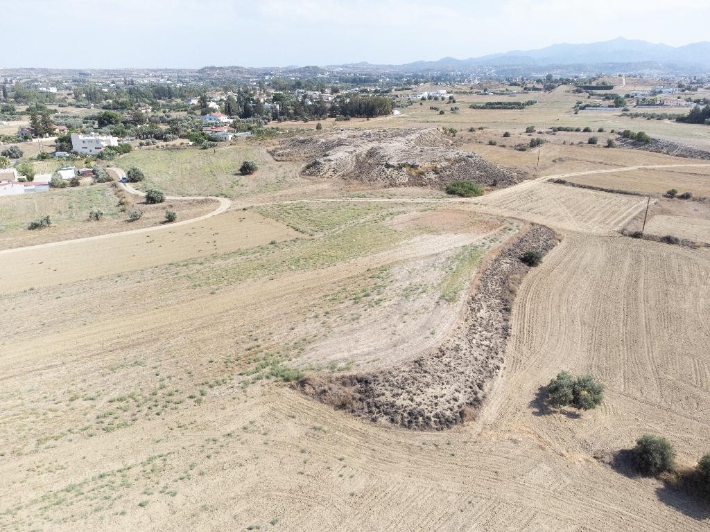 Field - Ergates, Nicosia