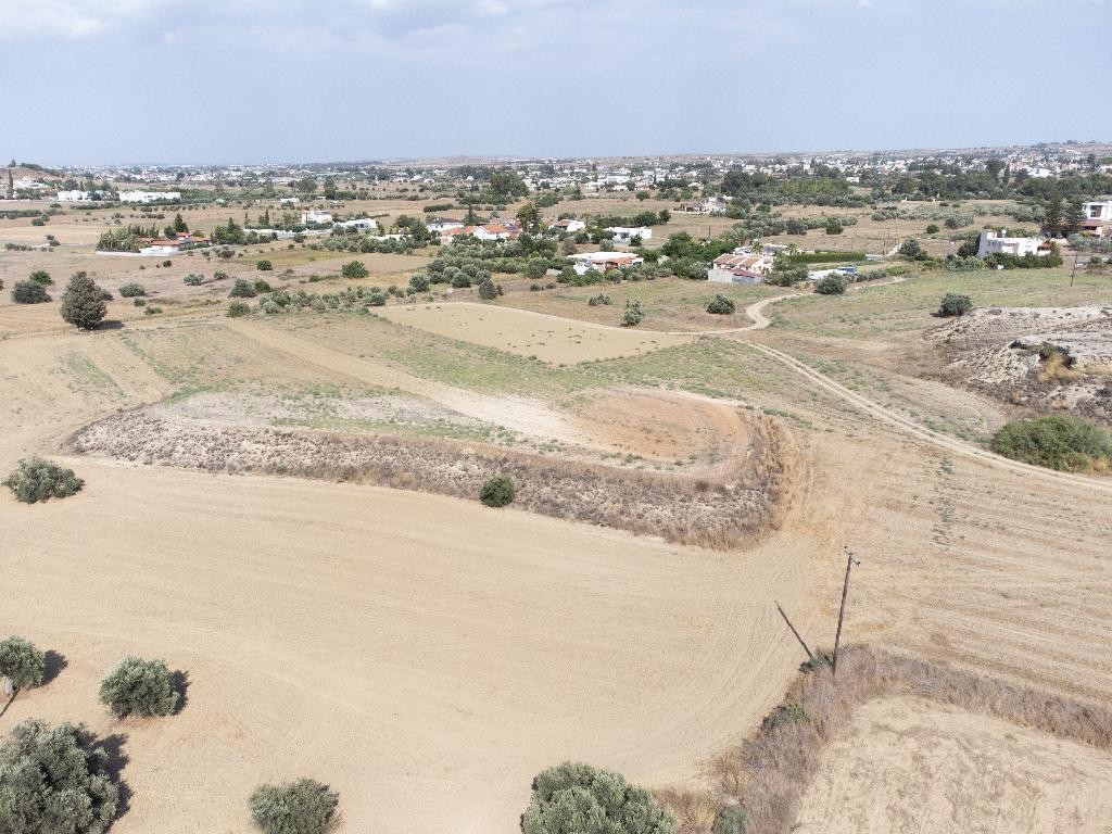 Field - Ergates, Nicosia