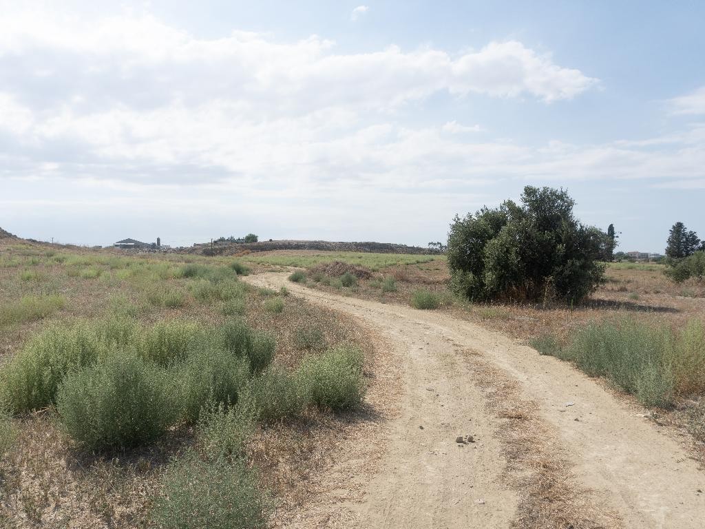 Field - Ergates, Nicosia