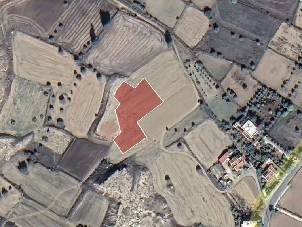 Field - Ergates, Nicosia
