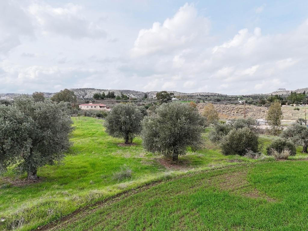 Field - Analiontas, Nicosia