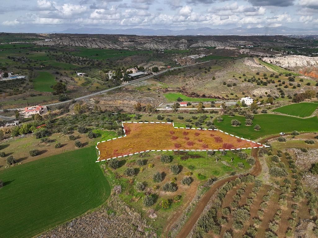 Field - Analiontas, Nicosia