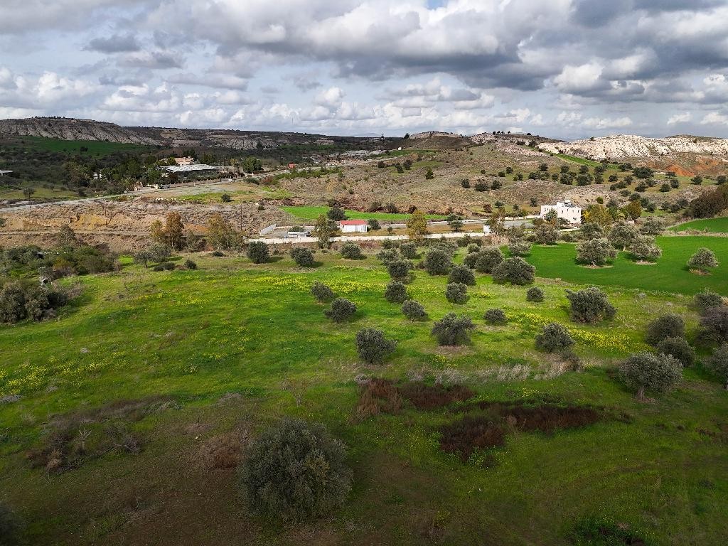 Field - Analiontas, Nicosia