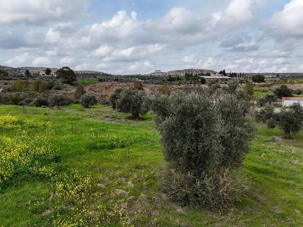 Field - Analiontas, Nicosia