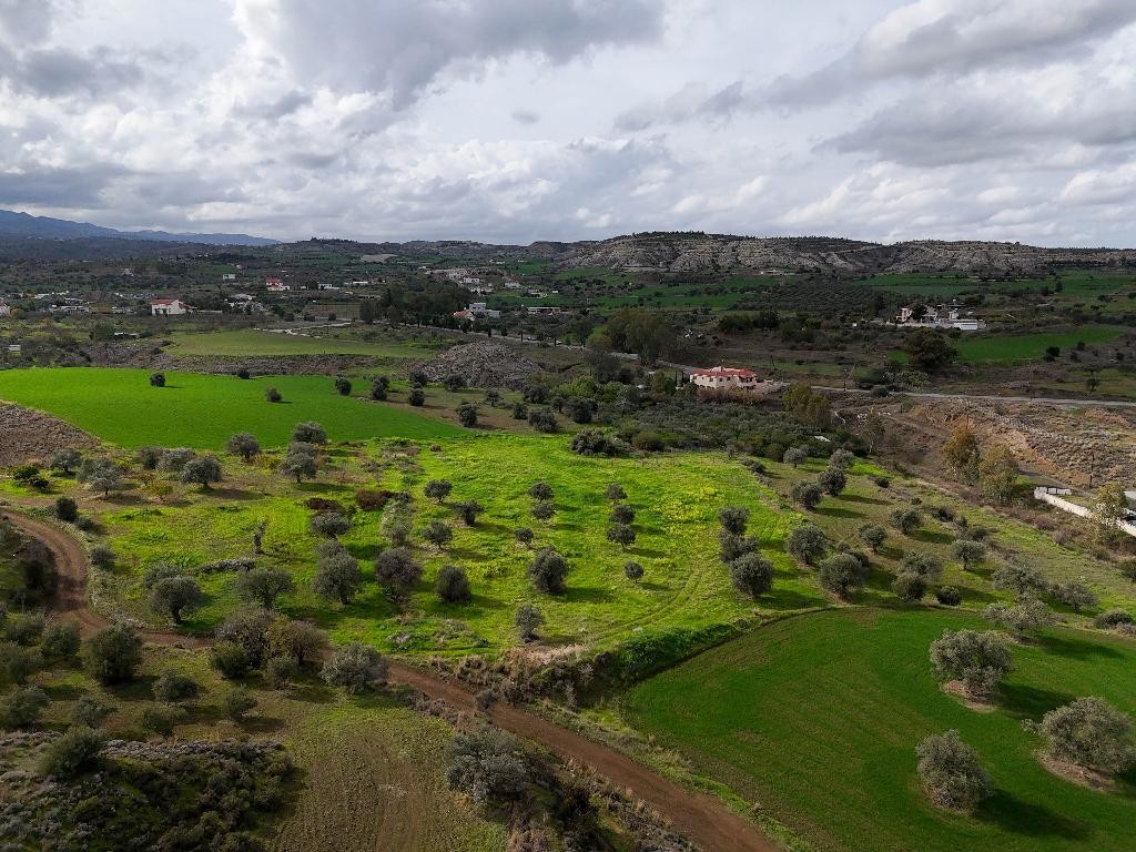 Field - Analiontas, Nicosia