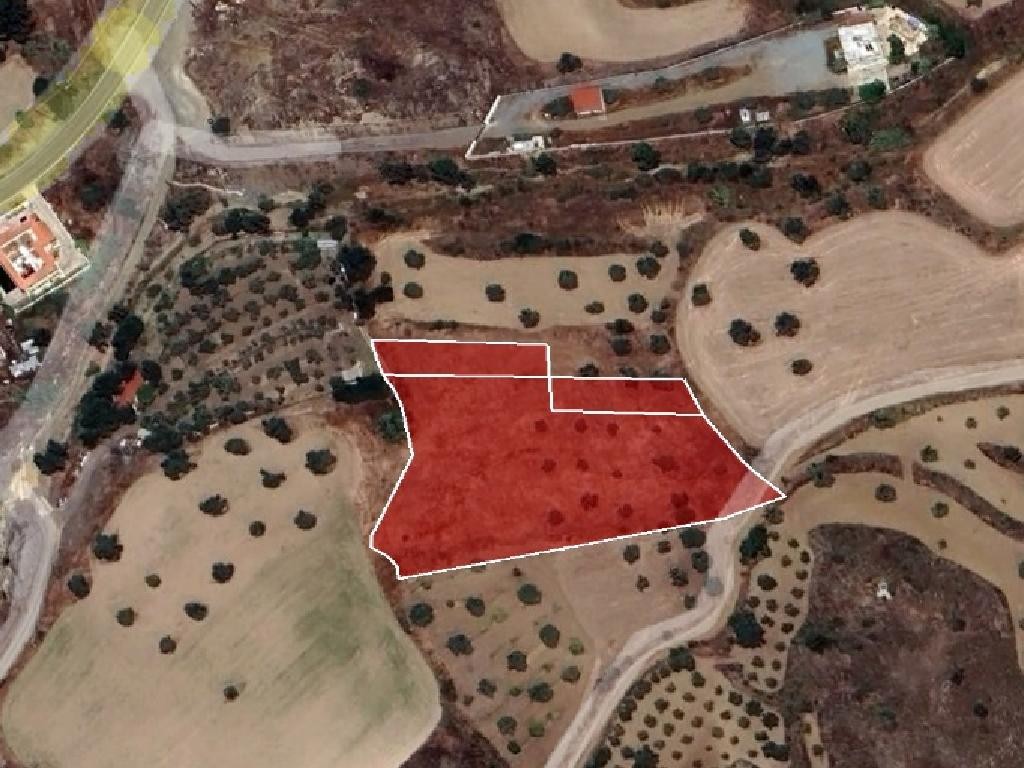 Field - Analiontas, Nicosia
