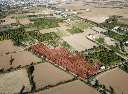 Pera Chorio, Nicosia Residential Field For Sale | WW27707