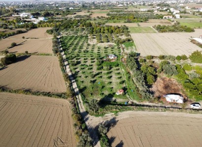 Pera Chorio, Nicosia Residential Field For Sale | WW27707