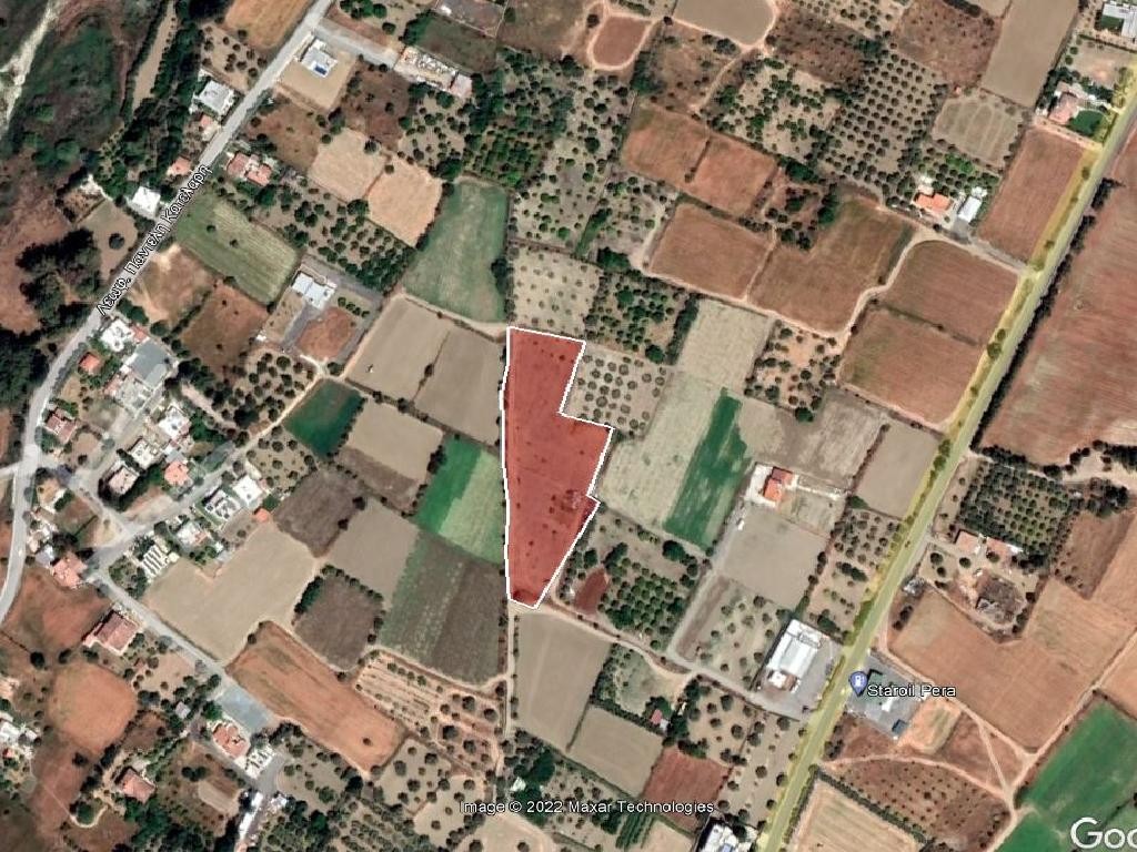 Field – Pera (Oreinis), Nicosia
