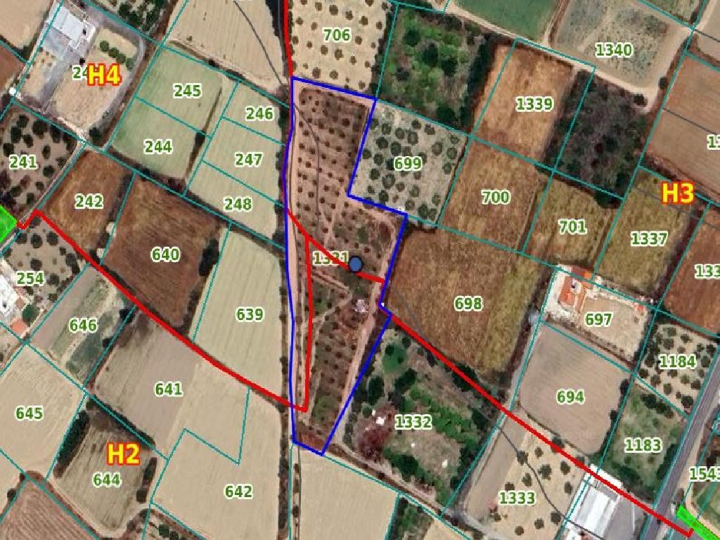 Field – Pera (Oreinis), Nicosia