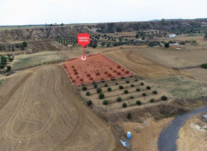 Pera Chorio, Nicosia Residential Field For Sale | WW27708