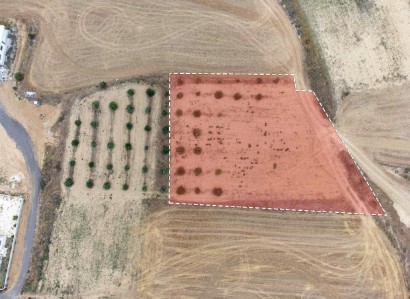 Pera Chorio, Nicosia Residential Field For Sale | WW27708