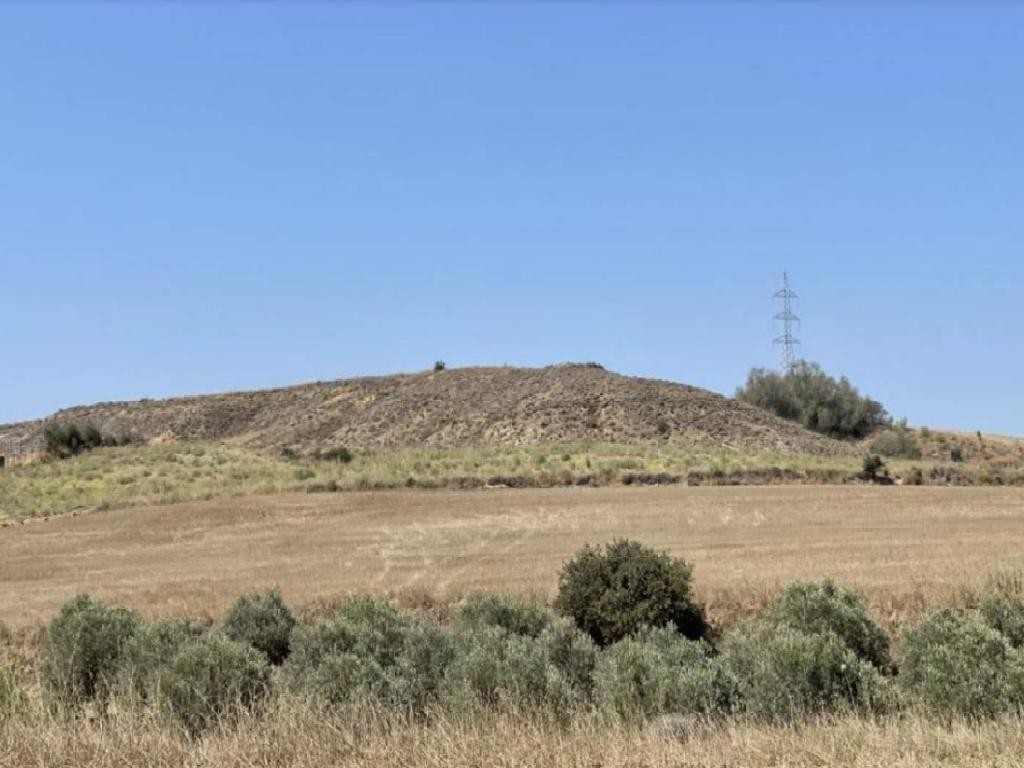 Agioi Trimithias Agricultural Field For Sale | WW27709