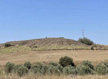 Agioi Trimithias Agricultural Field For Sale | WW27709