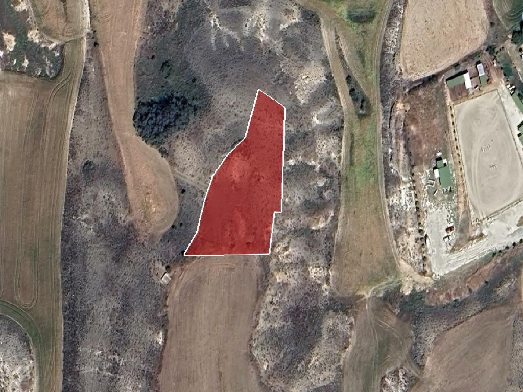 Field - Agioi Trimithias, Nicosia