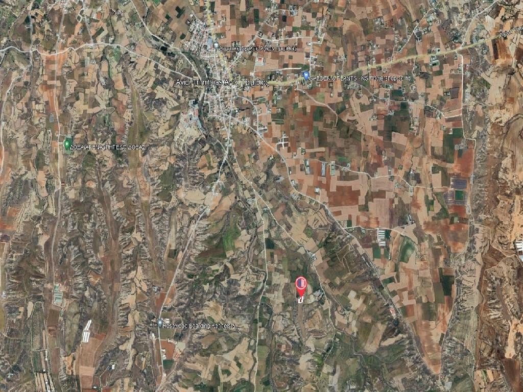 Field - Agioi Trimithias, Nicosia