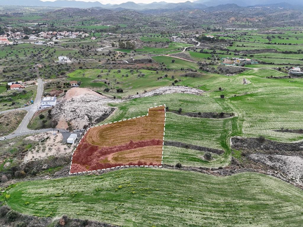 Field - Analiontas, Nicosia