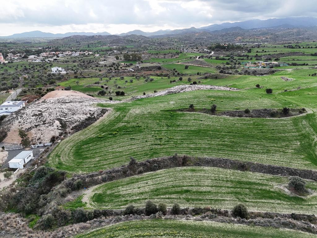 Field - Analiontas, Nicosia